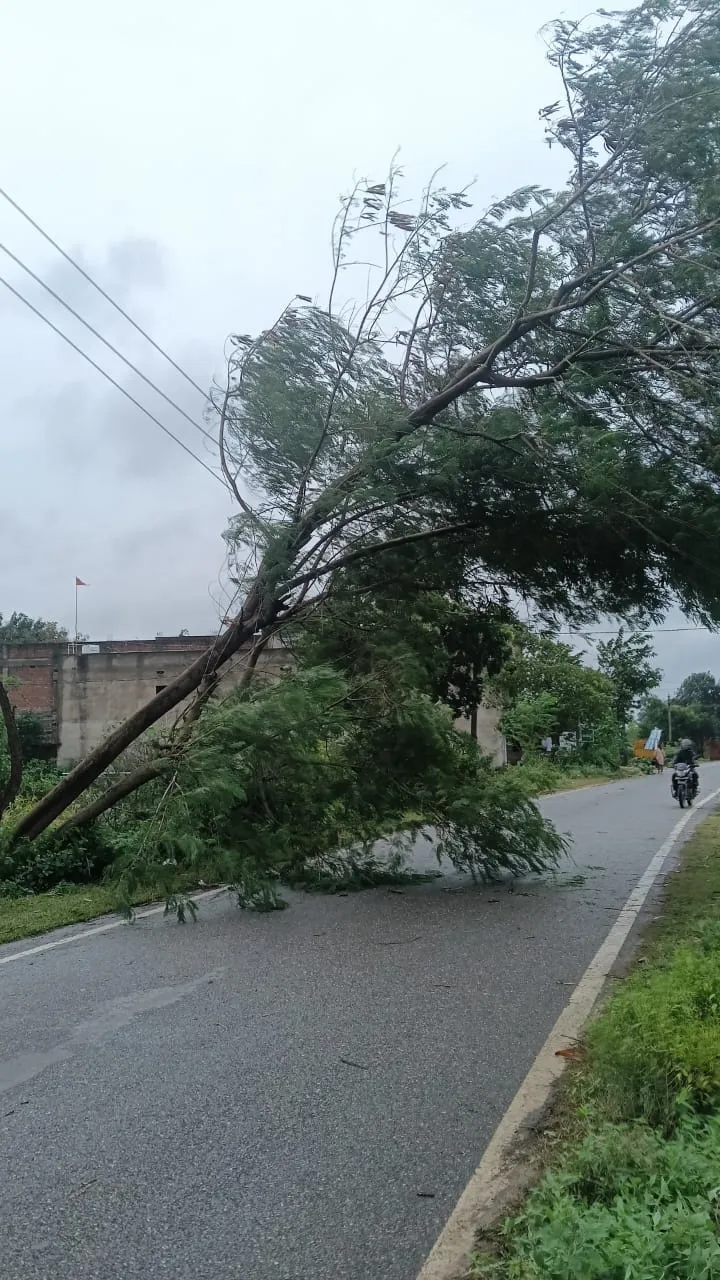 झुमरी तिलैया : मौसम की बेरुखी से बिजली आपूर्ति हो रही है प्रभावित 