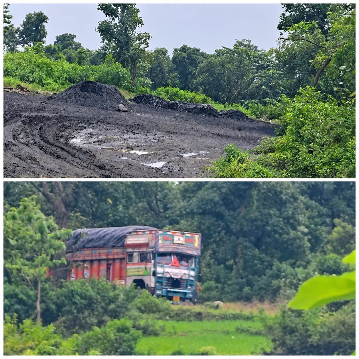धनबाद : तिलातांड़ में जंगल-झाड़ियों की आड़ में चल रहा अवैध कोयला डिपो, कार्रवाई की मांग