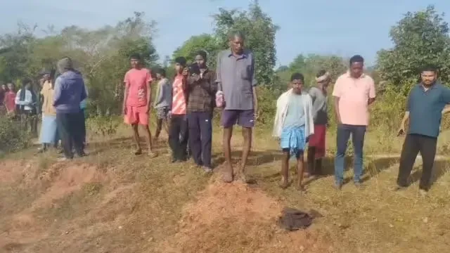 गुमला : हातु गांव में हाथियों के झुंड ने एक को मार डाला