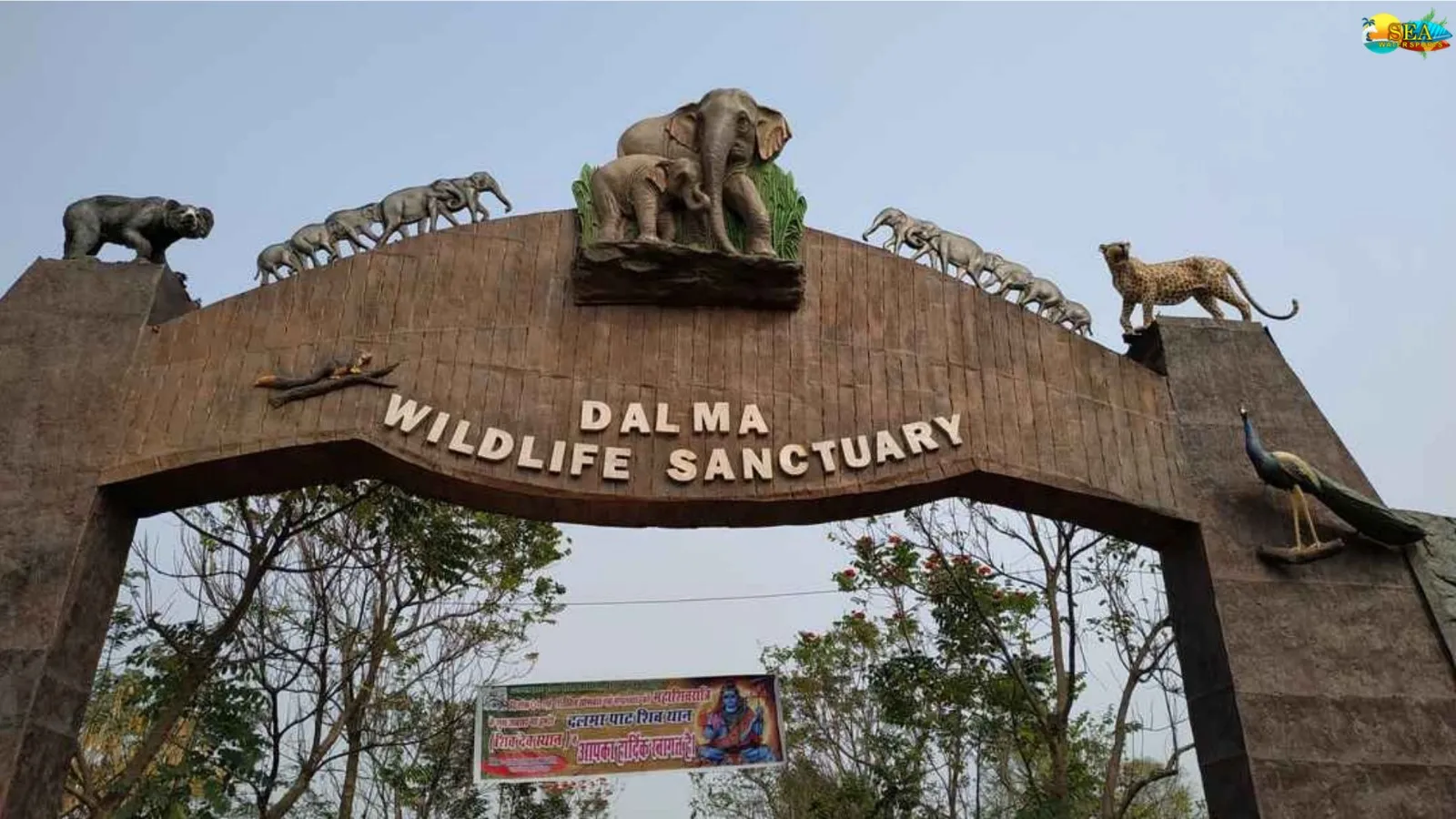 दलमा वन्यजीव अभयारण्य में कॉटेज और गेस्ट हाउस पर वन विभाग को फटकार