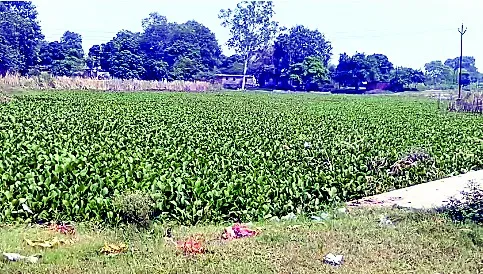 धनबाद : छठ तालाब में गंदगी का अंबार